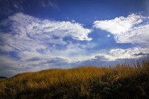 grassy hill against blue sky with clouds