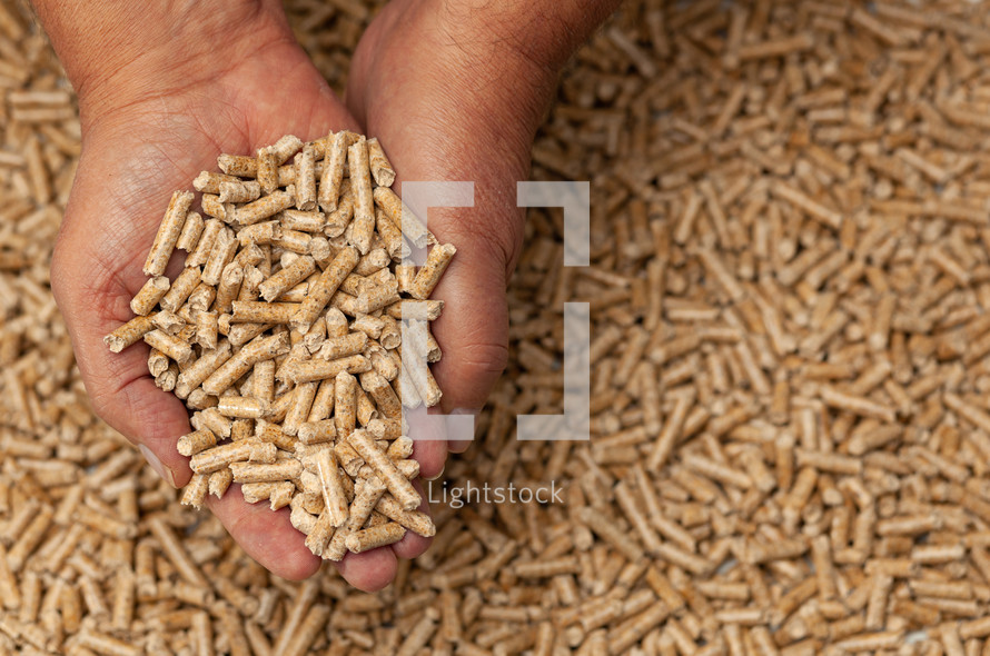 Alternative biofuel from sawdust wood pellets in hands.