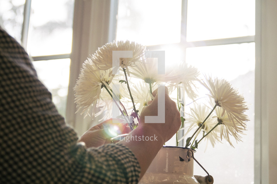 woman arranging flowers in a vase 