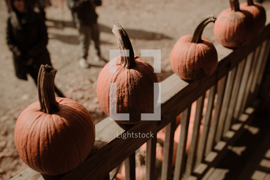 pumpkins on a railing 