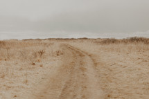 dirt road through a field 
