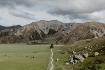 plains in a valley in New Zealand 