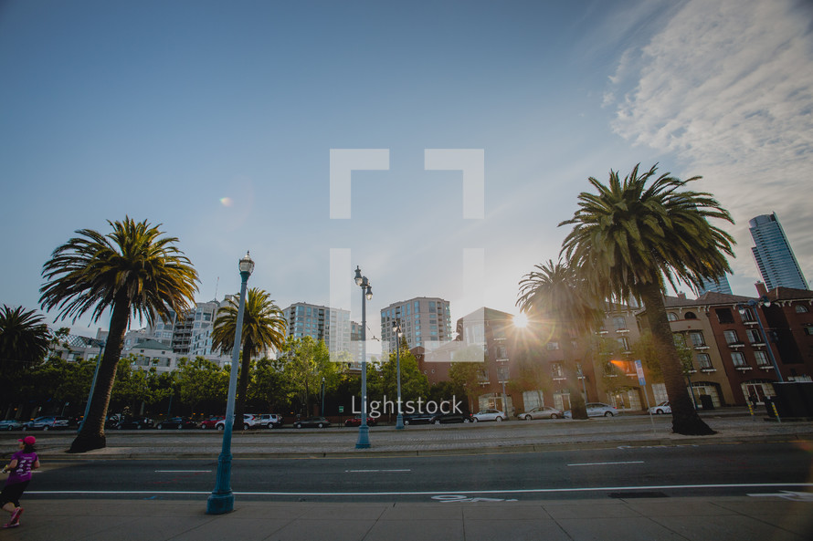 Palm trees and street lamps lining the streets of San Francisco