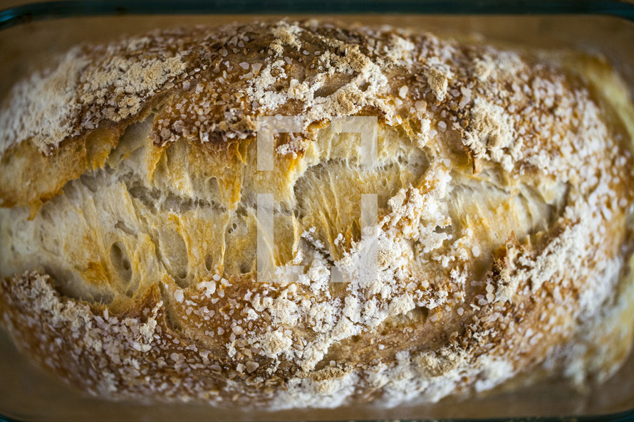 bread closeup 