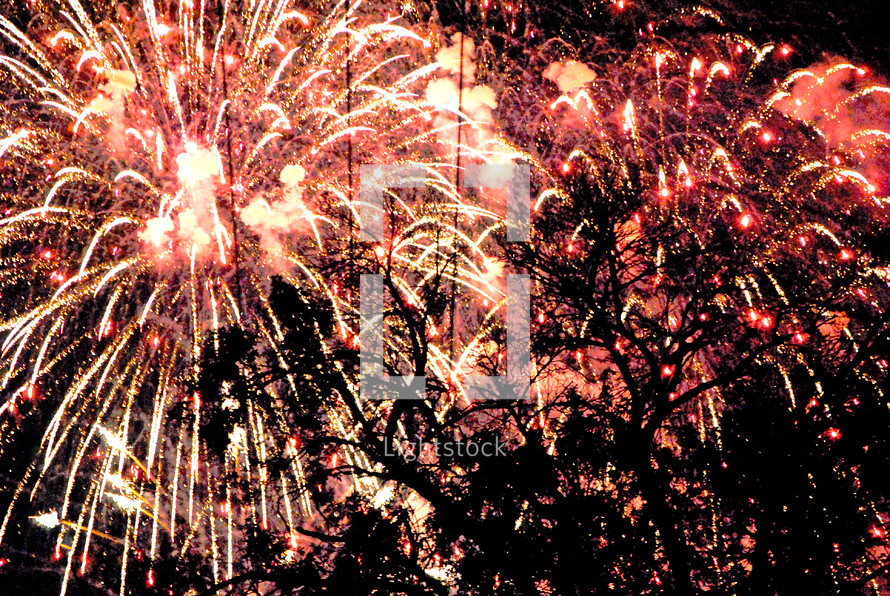 Fireworks seen through the tree branches.