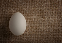 chicken white egg on a burlap background