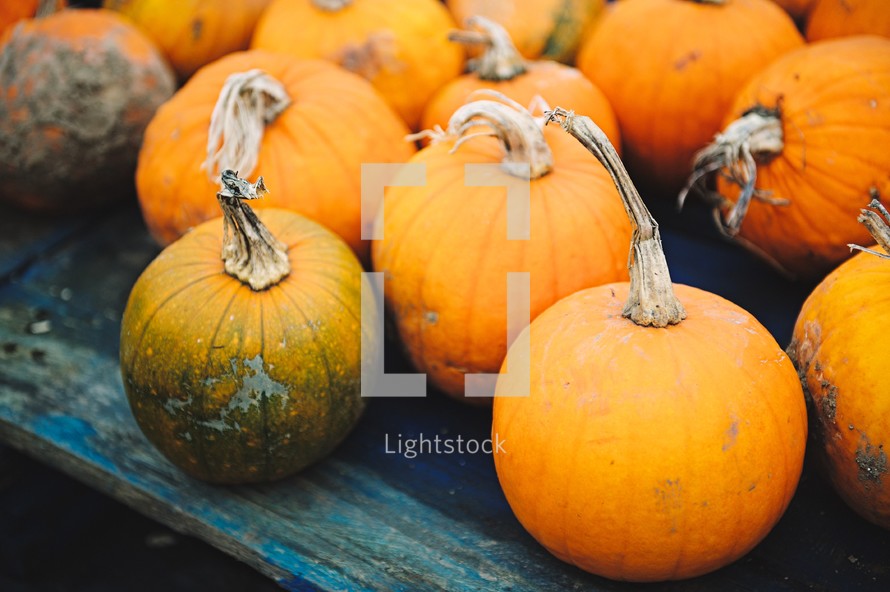 pumpkins on a blue table 