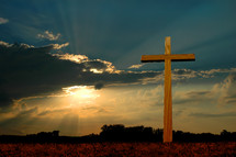 sunlight and sunset shining on a wood cross