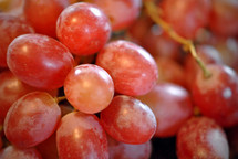 Cluster of grapes.