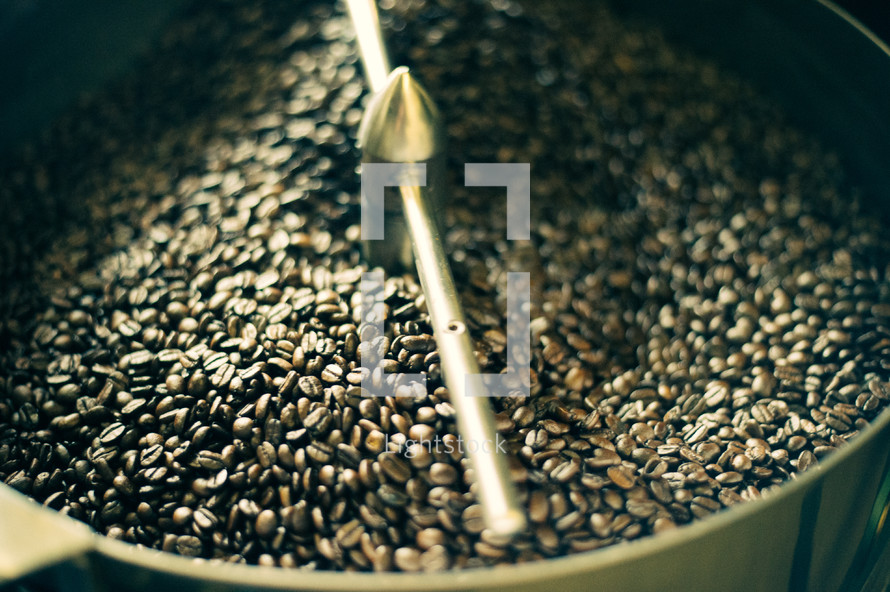 coffee beans in a roaster 