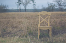 chair in a field 