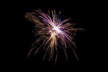 firework bursting in the night sky
