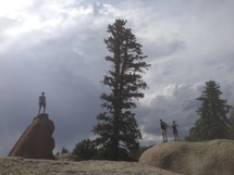 Hikers on boulders by a tall tree.