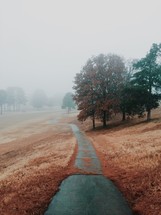 fog and trees and a golf cart path 