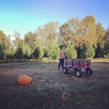 boy child pulling a wagon and a pumpkin