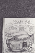 A children's book about Noah's Ark.