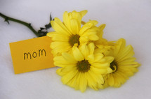Happy Mother's day flowers and card