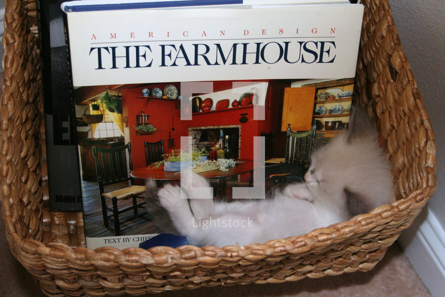 a kitten sleeping in a Farmhouse book in a basket 