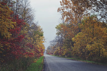 rural country road lined with fall trees 