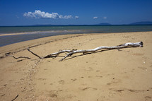 driftwood on Nosy Be beach 