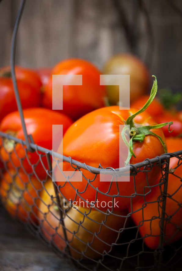 tomatoes in a wire basket 