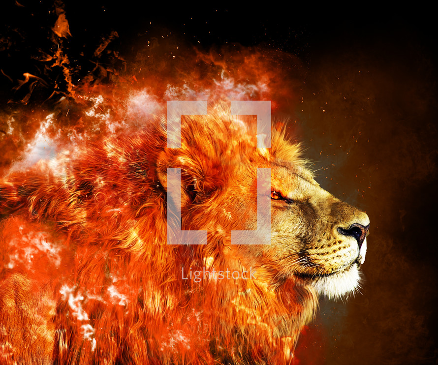 fire and lion 