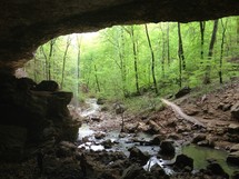 view from the mouth of a cave