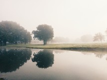 morning fog and reflection of trees in the water of a pond 