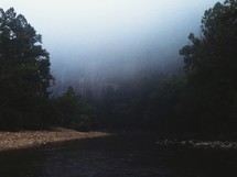 fog in a forest and a river 
