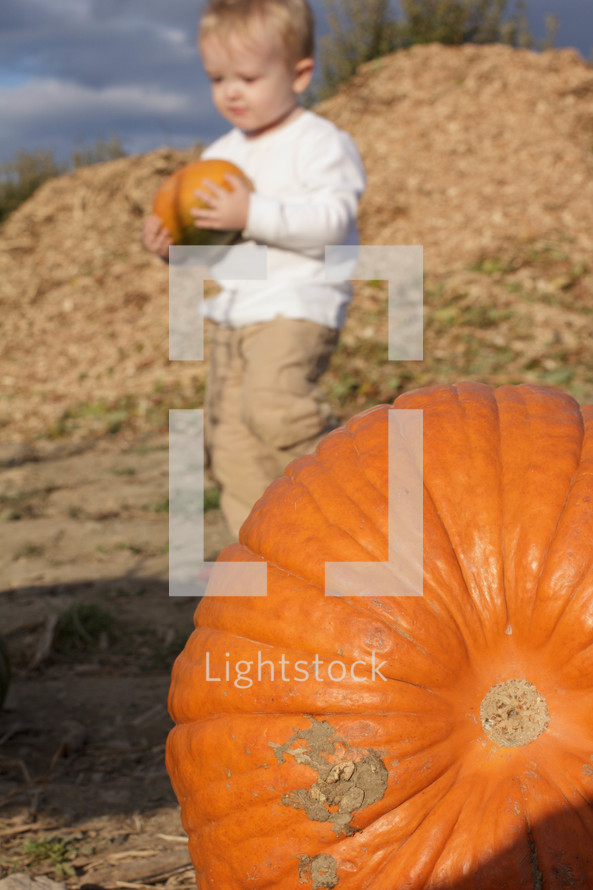 toddler boy in a pumpkin patch 