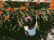 little boy picking flowers 