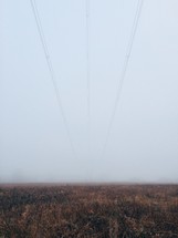fog and power lines over a field 