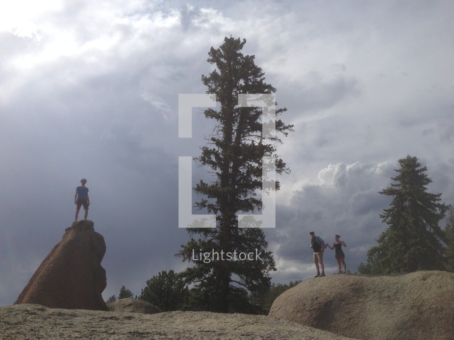 Hikers on boulders by a tall tree.