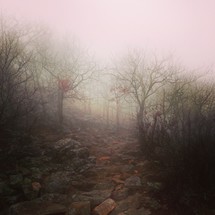 fog covered rocky hillside