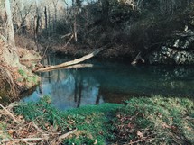 A pond in a wilderness setting.