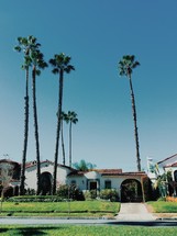 tall palm trees above a house 