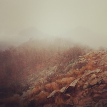 fog on a mountain top