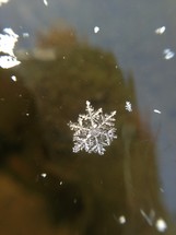 close-up of a snowflake 