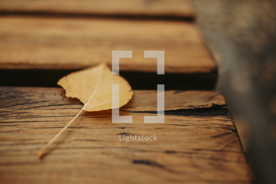 fall leaf on a deck 