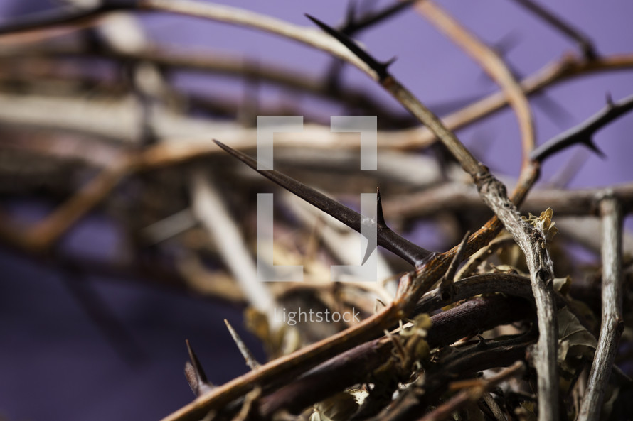 close up of a crown of thorns on purple fabric 