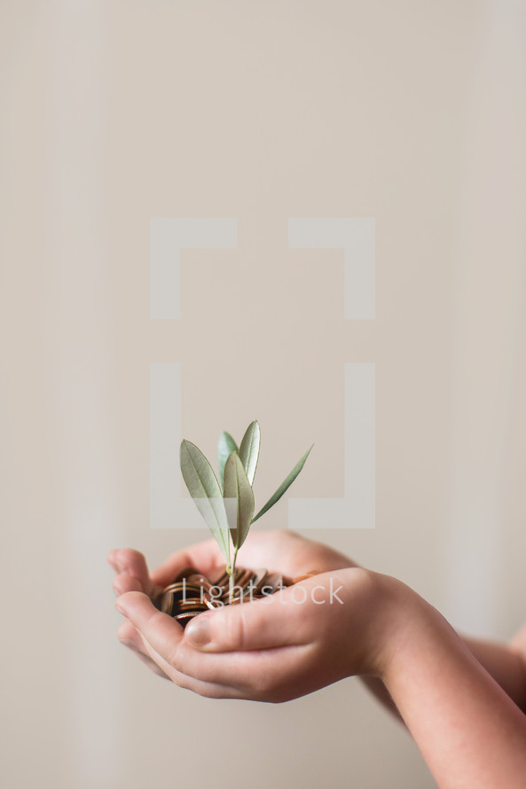 Hands cupped holding money growing a plant