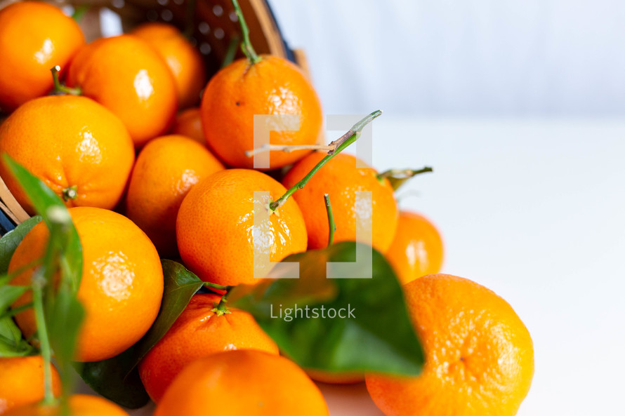 basket of oranges 