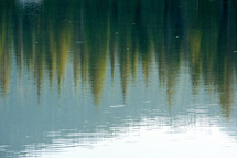 reflection of trees on lake water 