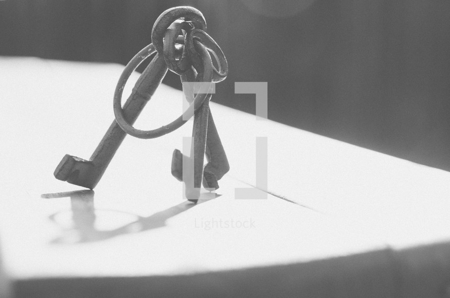 Ring of keys standing on table.