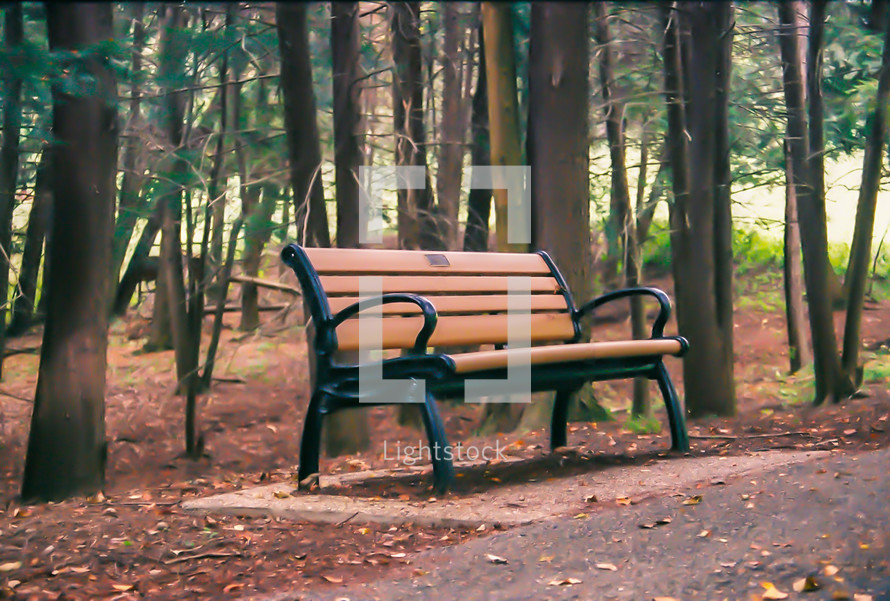 park bench in autumn 