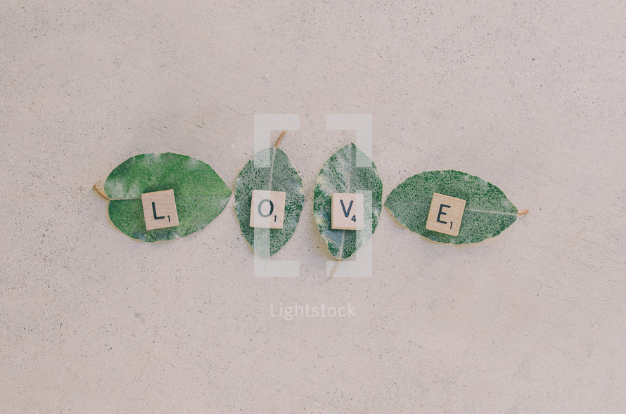 Scrabble letters spell out "love" on leaves.