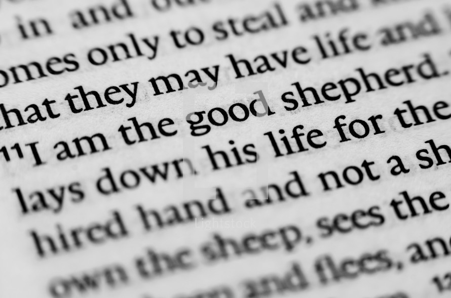 I am the good shepherd 