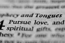 Pursue love