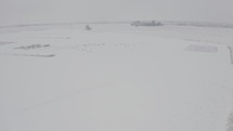 Drone following a flock of geese through an overcast, foggy, and wintry scene. D-Log
