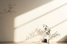 Minimalist interior design with plant in pot and sunlight.